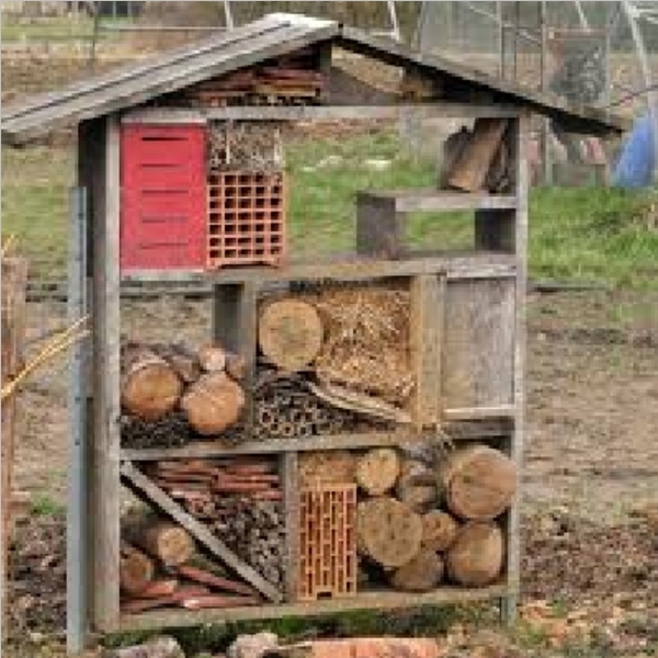 Insect_Hotel_10.jpg