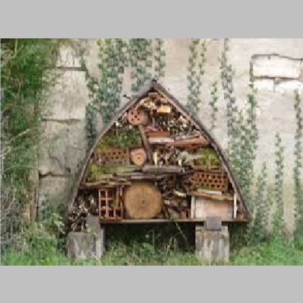 Insect_Hotel_15.jpg