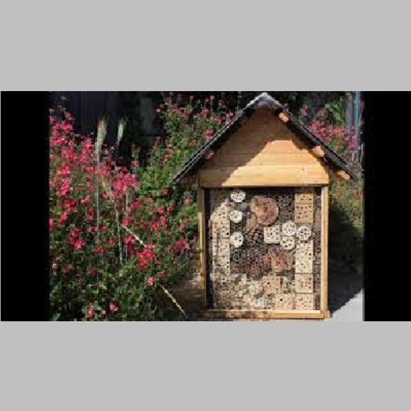 Insect_Hotel_16.jpg