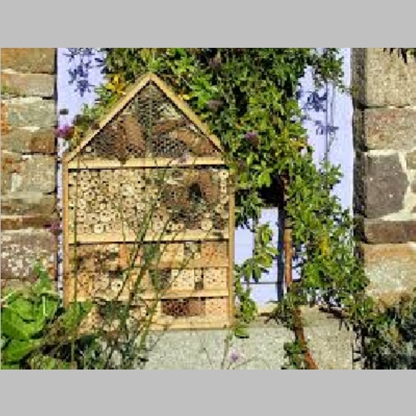 Insect_Hotel_17.jpg