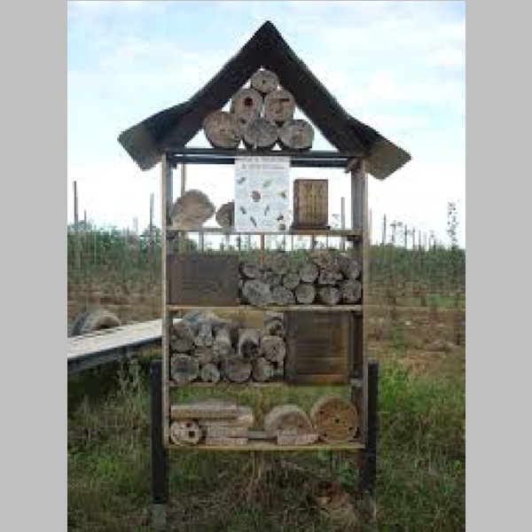 Insect_Hotel_1.jpg
