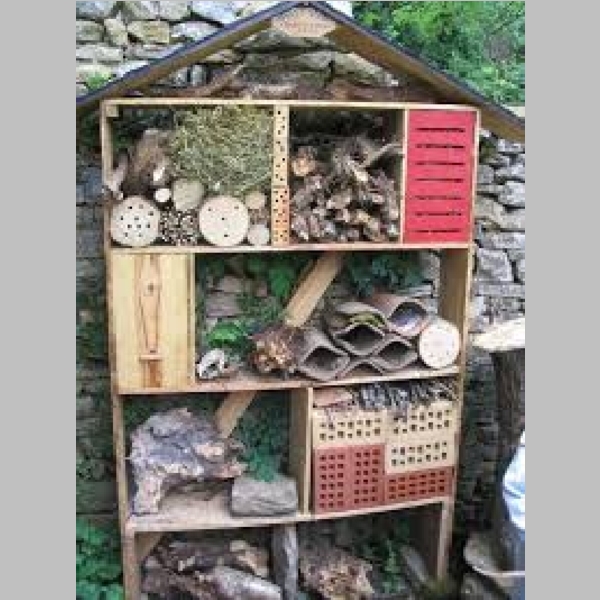 Insect_Hotel_21.jpg