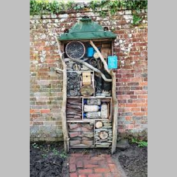 Insect_Hotel_22.jpg