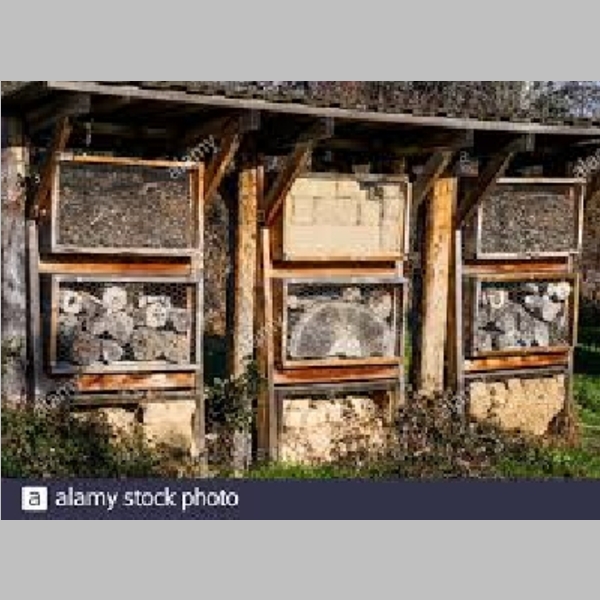 Insect_Hotel_23.jpg