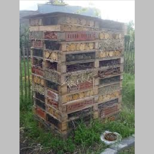 Insect_Hotel_24.jpg