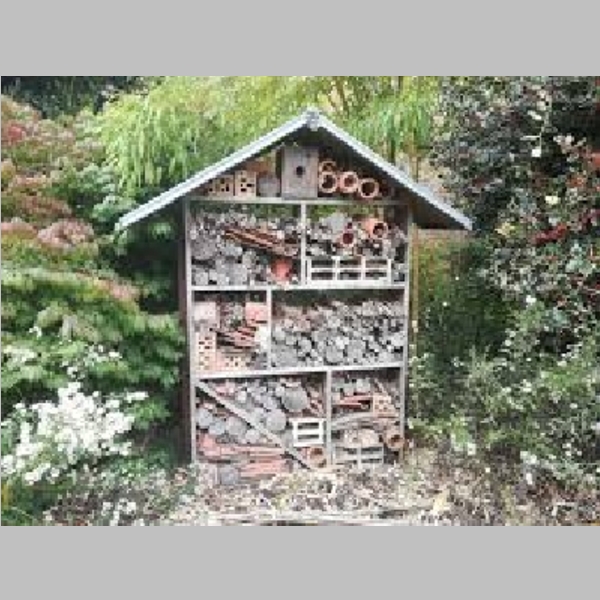 Insect_Hotel_25.jpg