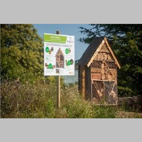 Insect_Hotel_28.jpg