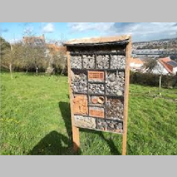 Insect_Hotel_29.jpg