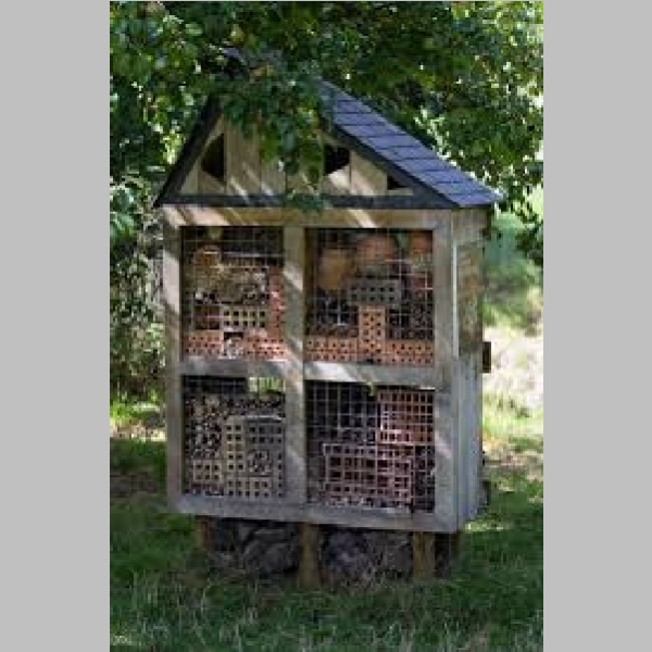 Insect_Hotel_2.jpg