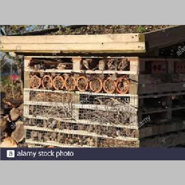 Insect_Hotel_30.jpg