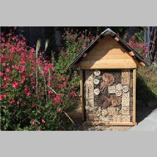 Insect_Hotel_31.jpg