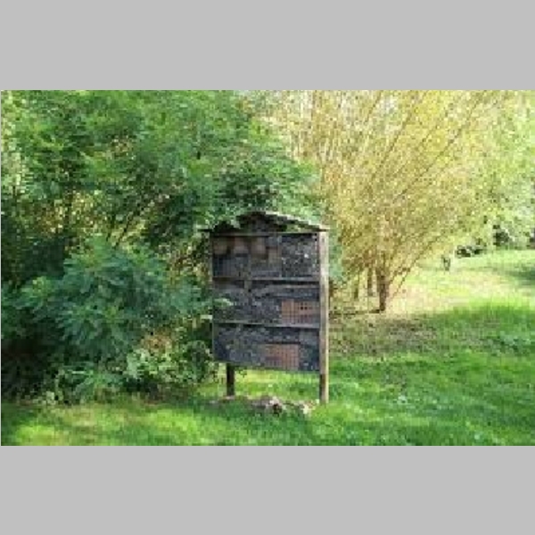Insect_Hotel_32.jpg
