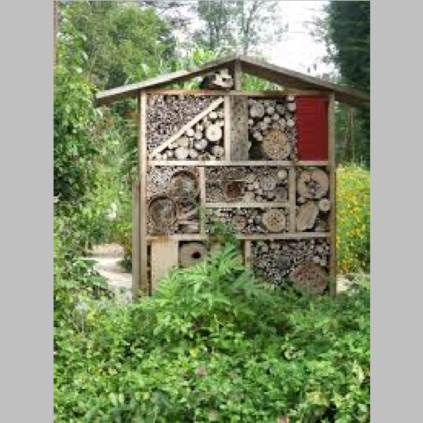 Insect_Hotel_34.jpg