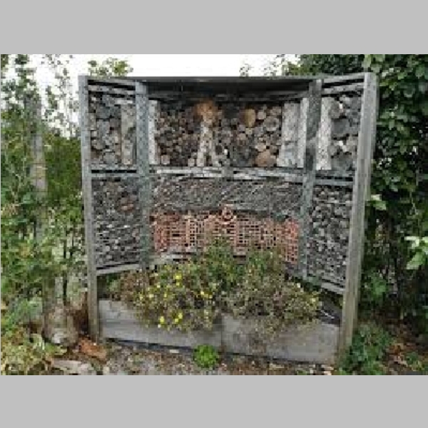 Insect_Hotel_35.jpg
