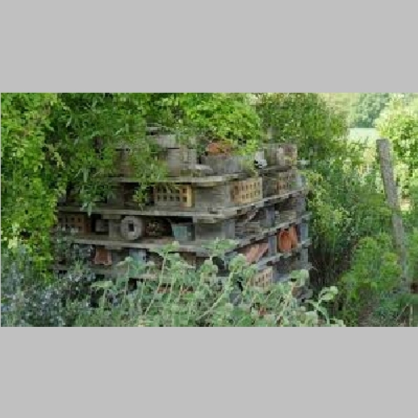 Insect_Hotel_37.jpg