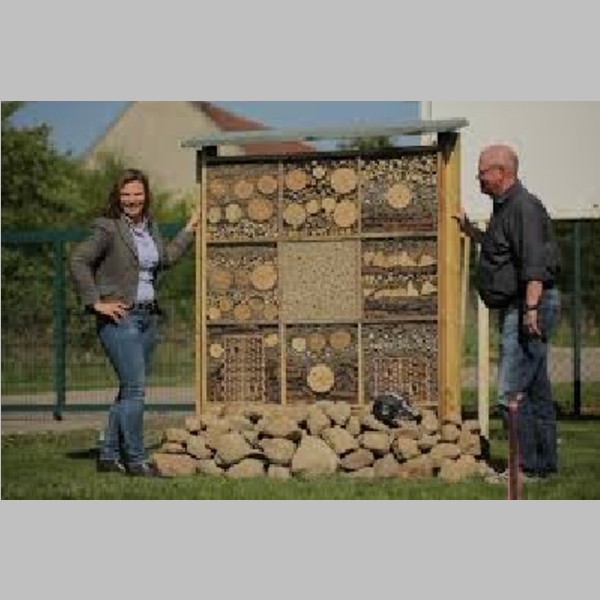Insect_Hotel_38.jpg