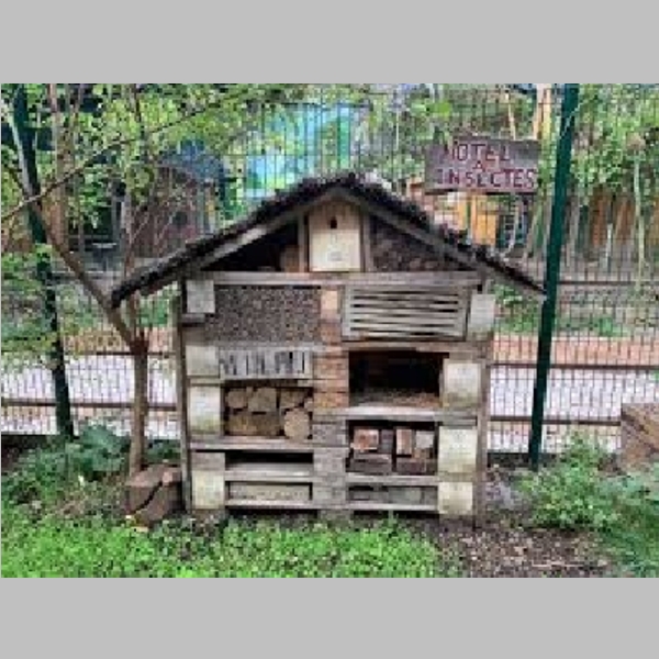 Insect_Hotel_39.jpg