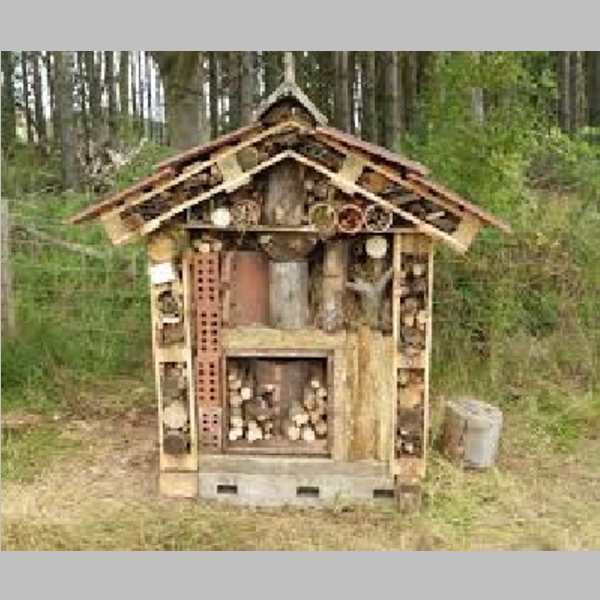 Insect_Hotel_40.jpg