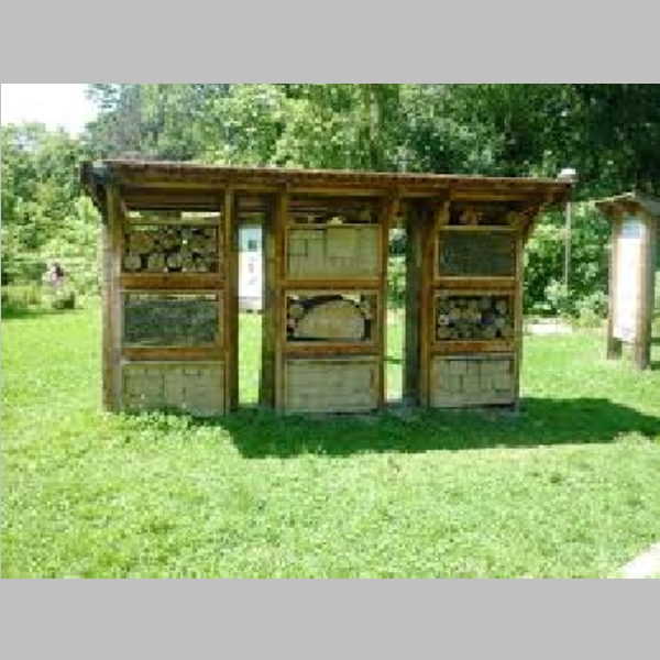 Insect_Hotel_41.jpg