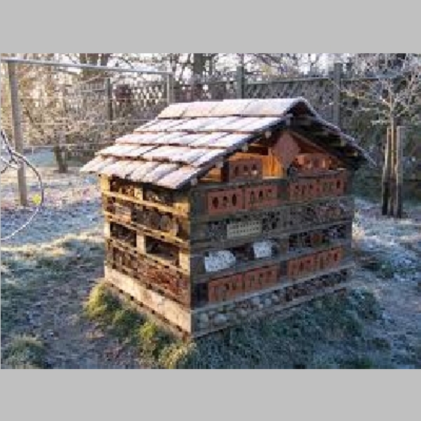 Insect_Hotel_42.jpg
