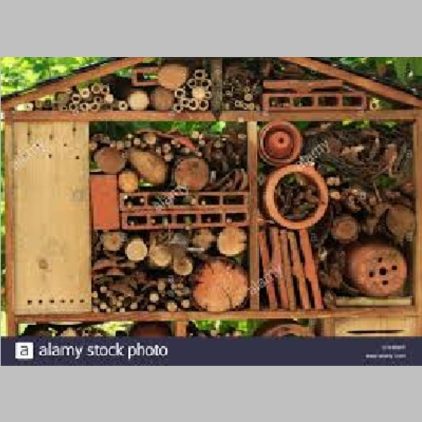 Insect_Hotel_43.jpg