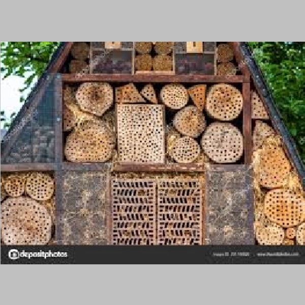 Insect_Hotel_44.jpg