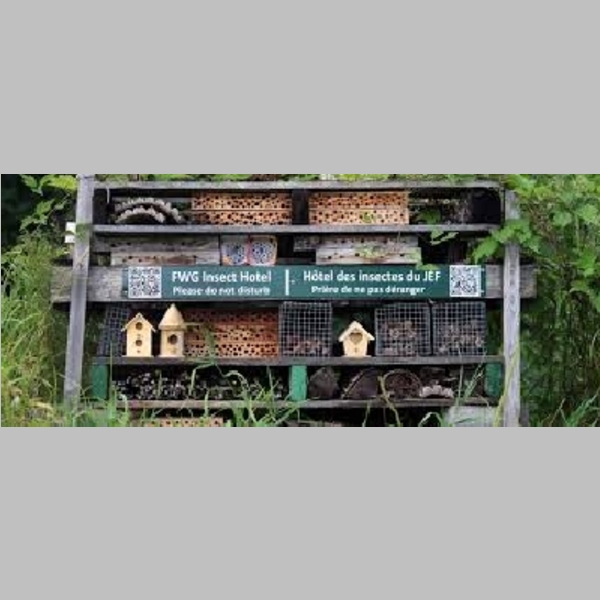 Insect_Hotel_46.jpg