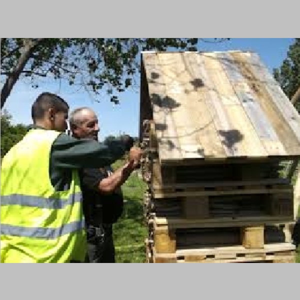Insect_Hotel_48.jpg