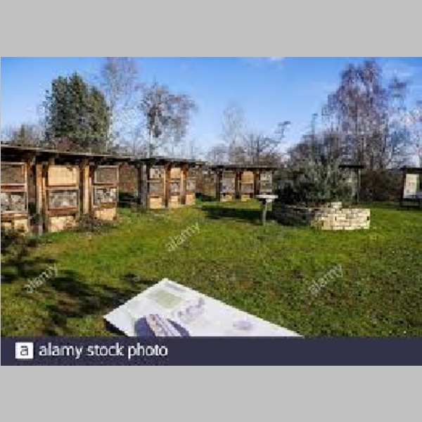 Insect_Hotel_49.jpg