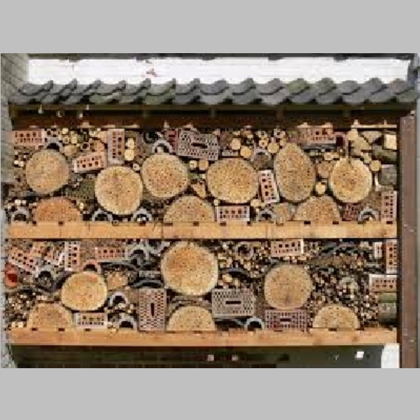 Insect_Hotel_50.jpg