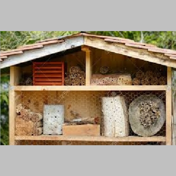 Insect_Hotel_51.jpg