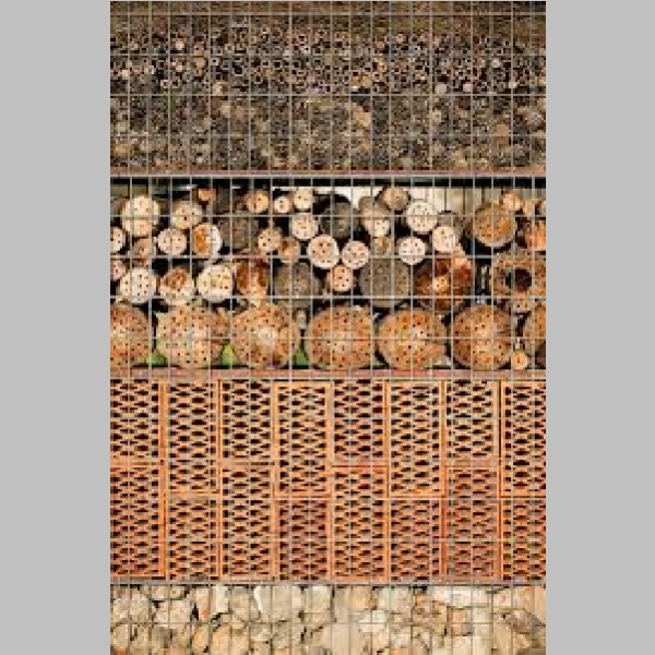Insect_Hotel_53.jpg