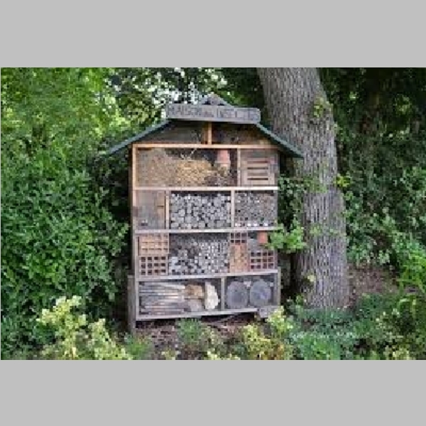 Insect_Hotel_54.jpg