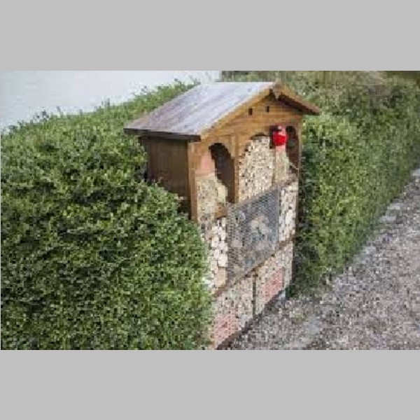 Insect_Hotel_55.jpg