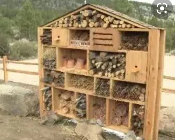 Insect_Hotel_57.jpg