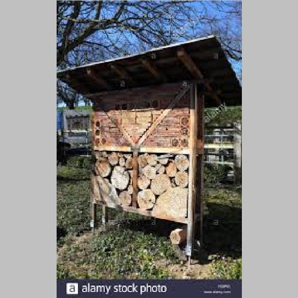 Insect_Hotel_6.jpg
