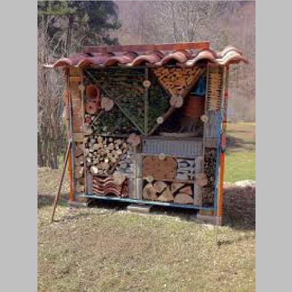 Insect_Hotel_9.jpg