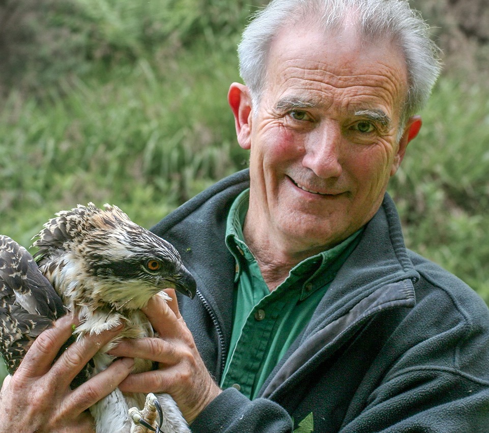 Roy Dennis with Osprey Chick