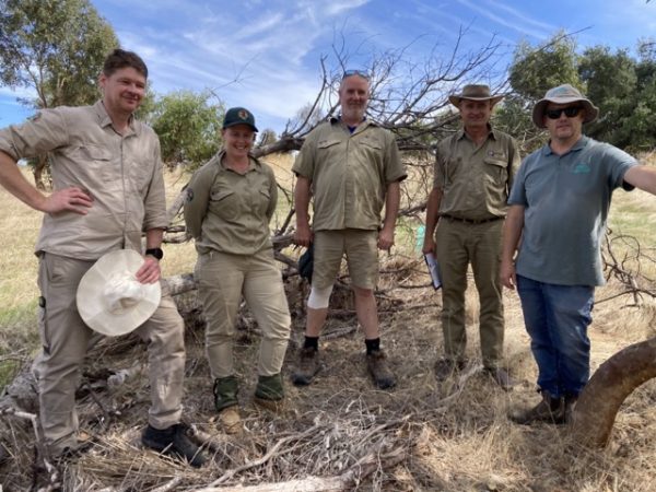 Ento Search & Green Adelaide Teams